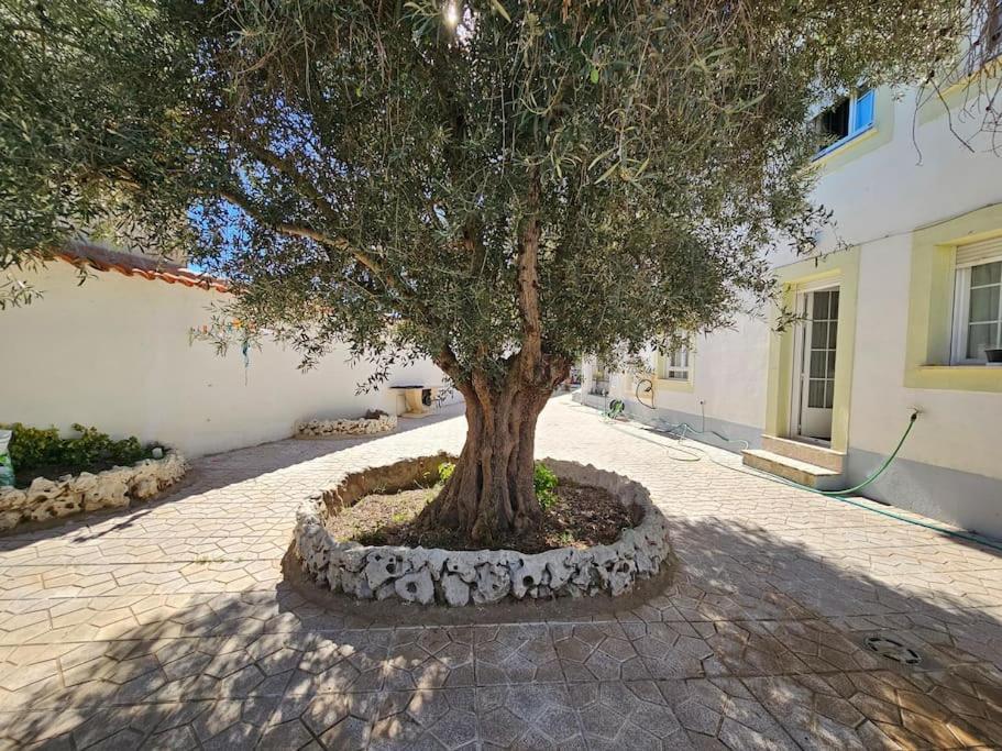 Villa La Casa Del Arbol Fuentiduena de Tajo Exterior foto