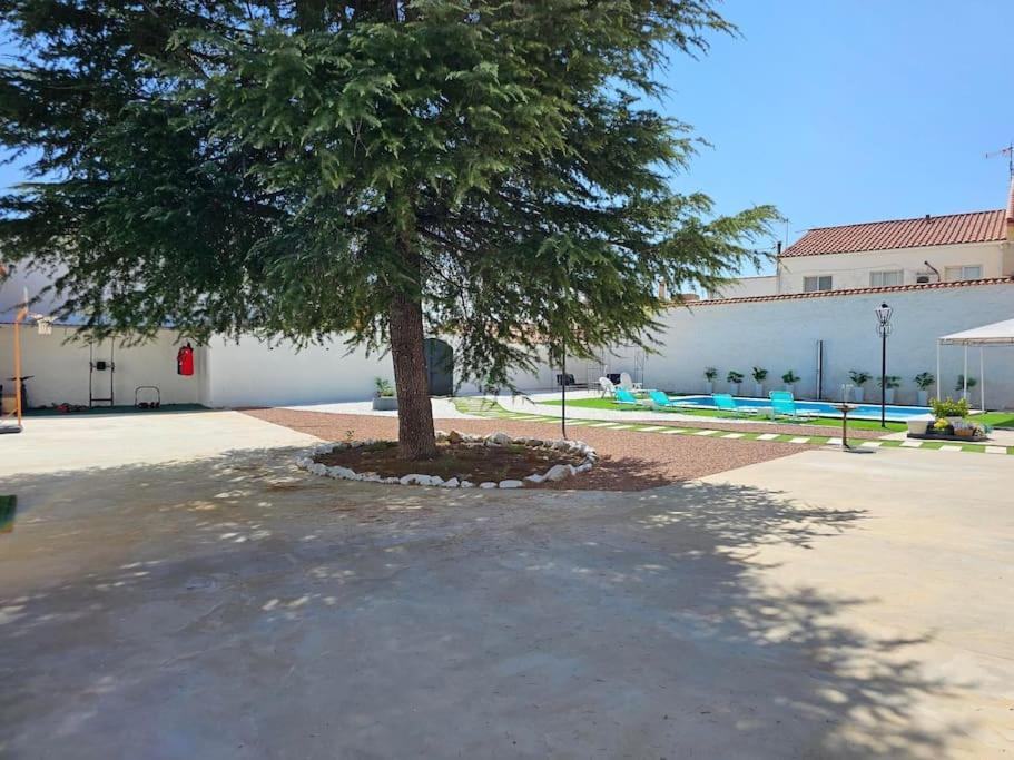 Villa La Casa Del Arbol Fuentiduena de Tajo Exterior foto